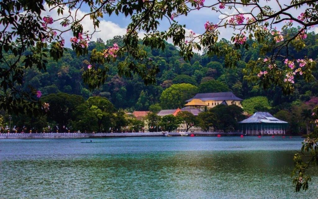 Nisansala Homestay Kandy Deiyannewela Eksteriør bilde